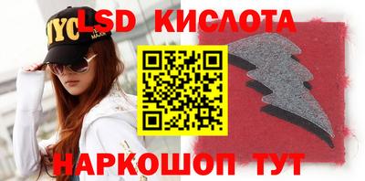 прущие грибы Пугачёв
