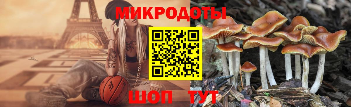 Галлюциногенные грибы ЛСД  даркнет сайт  Азнакаево  Вход с VPN  Псилоцибиновые грибы ЛСД 